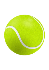 Wilson Premium Tennis Ball – Consistent Bounce & Tournament Quality